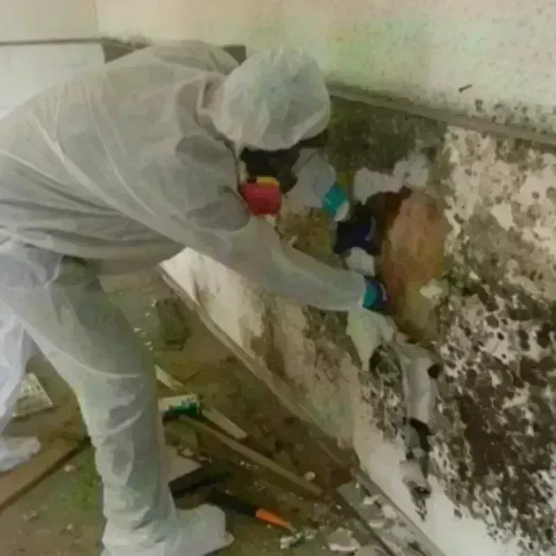 Mold Remediation and Removal in Falmouth Foreside, ME